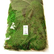 Стабилизированный мох Пласты "Зелёный", 500 гр H012