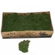 Стабилизированный мох Ягель "Medium green", 500 гр H007