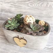 Композиция из суккулентов C100